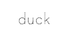 duck